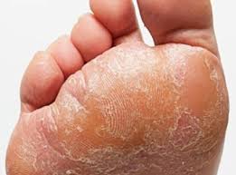 WhatsApp Image 2024-07-15 at 21.34.32_4964c468